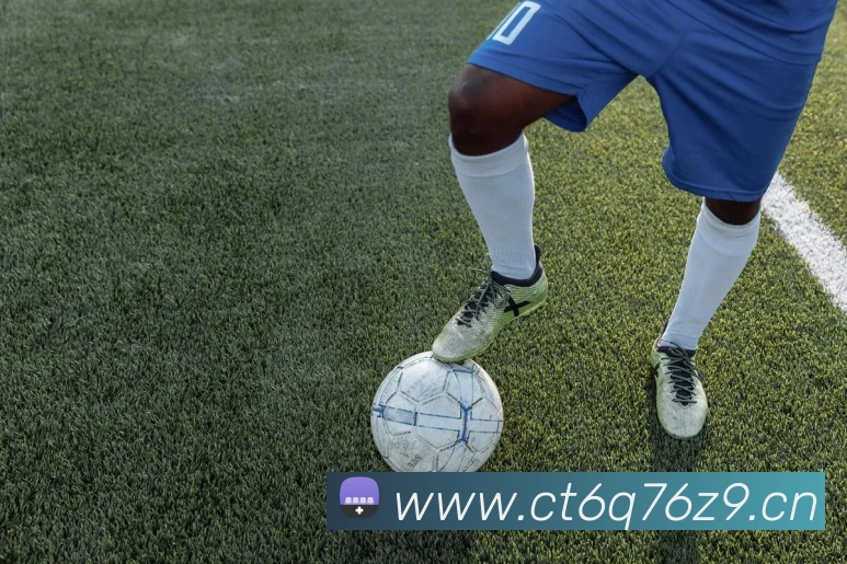 巅峰国标pg官网发展历程